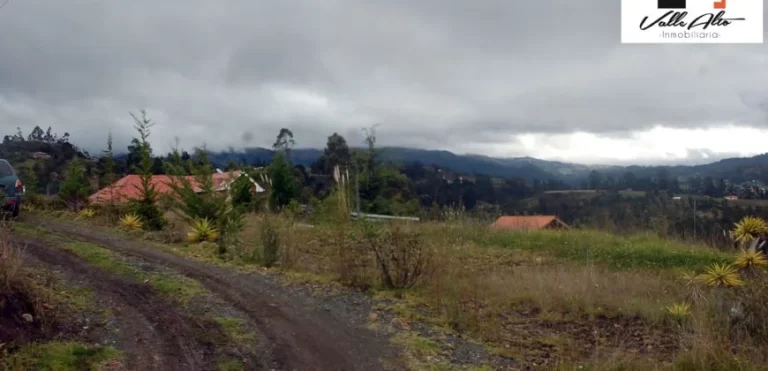 FOTO 10 870x420 1 1 768x371