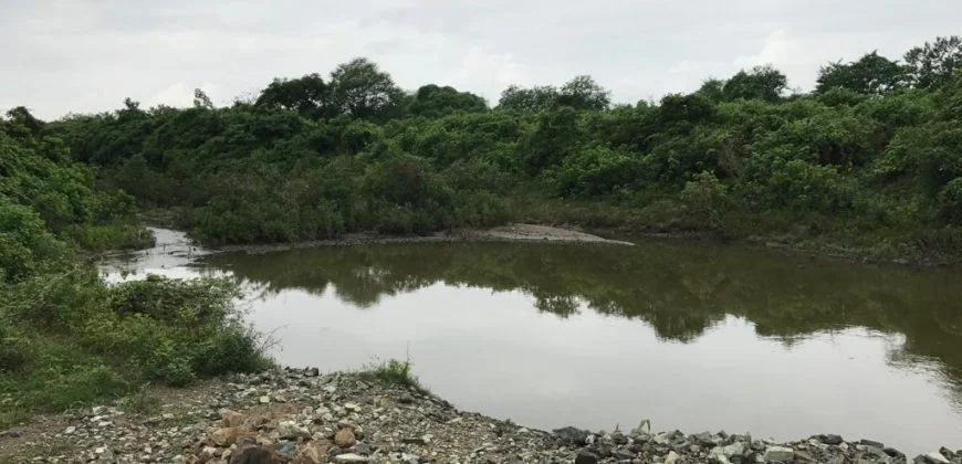 IMG 20200118 WA0056 870x420 1